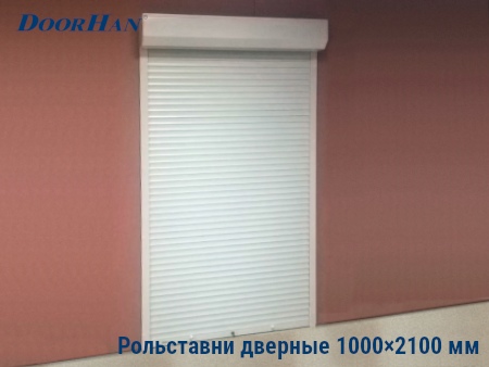 Рольставни на двери 1000×2100 мм в Самаре от 23895 руб.